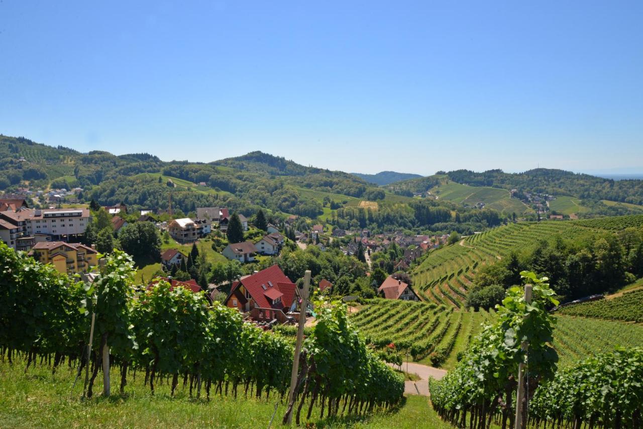 Residence Am Weinberg / Travellers Hotelbetriebs Gmbh Sasbachwalden Bagian luar foto
