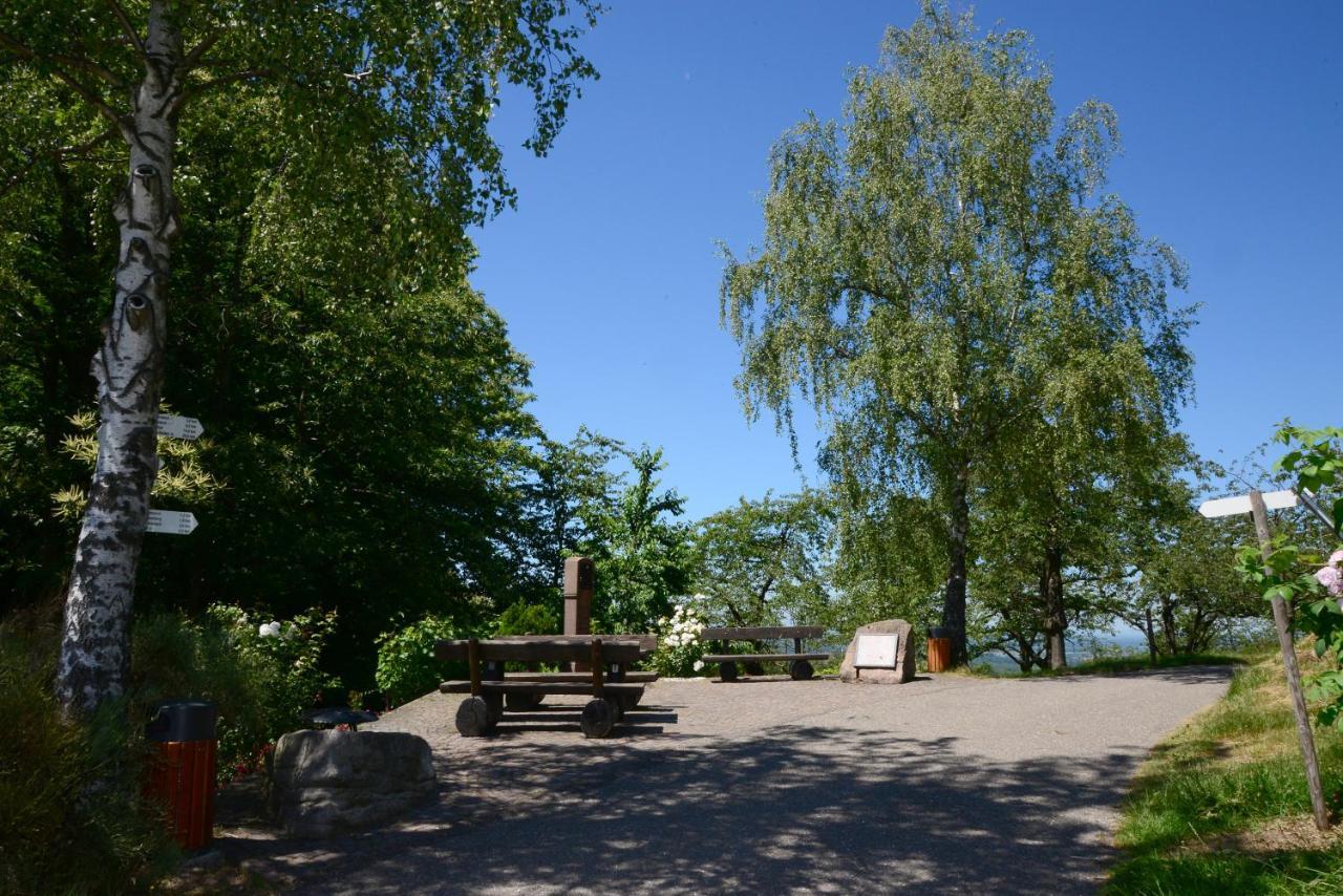 Residence Am Weinberg / Travellers Hotelbetriebs Gmbh Sasbachwalden Bagian luar foto