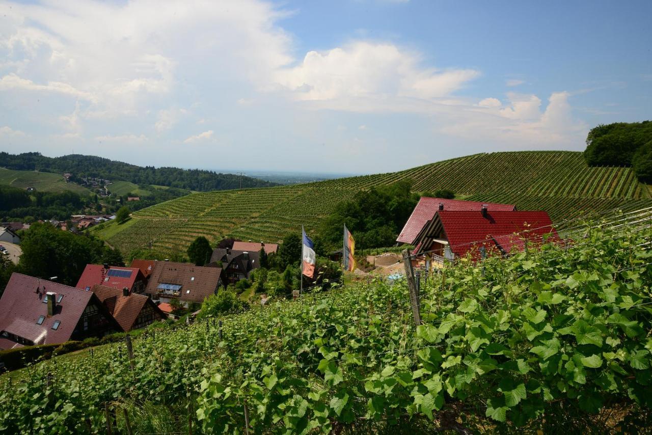 Residence Am Weinberg / Travellers Hotelbetriebs Gmbh Sasbachwalden Bagian luar foto