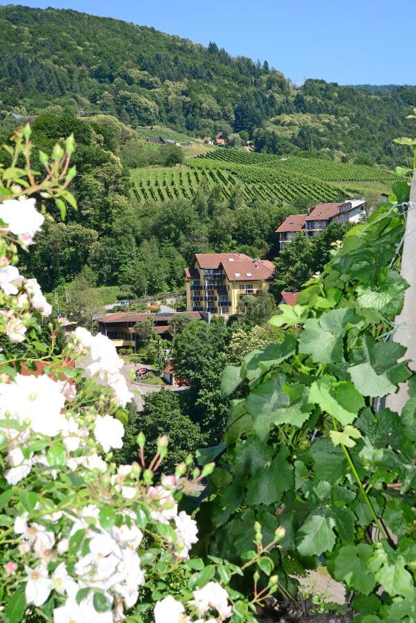 Residence Am Weinberg / Travellers Hotelbetriebs Gmbh Sasbachwalden Bagian luar foto